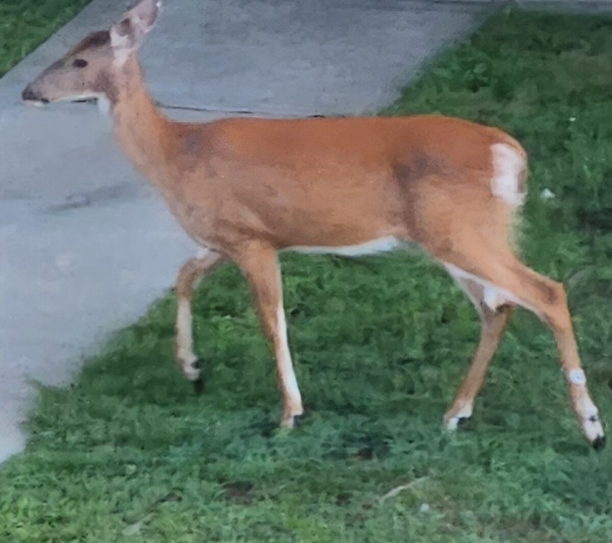 Hands-on learning projects ready for students